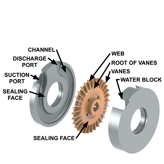 Regenerative Turbine Pump - Little Pump - Big Head Regenerative Turbine Pump - Little Pump - Big Head